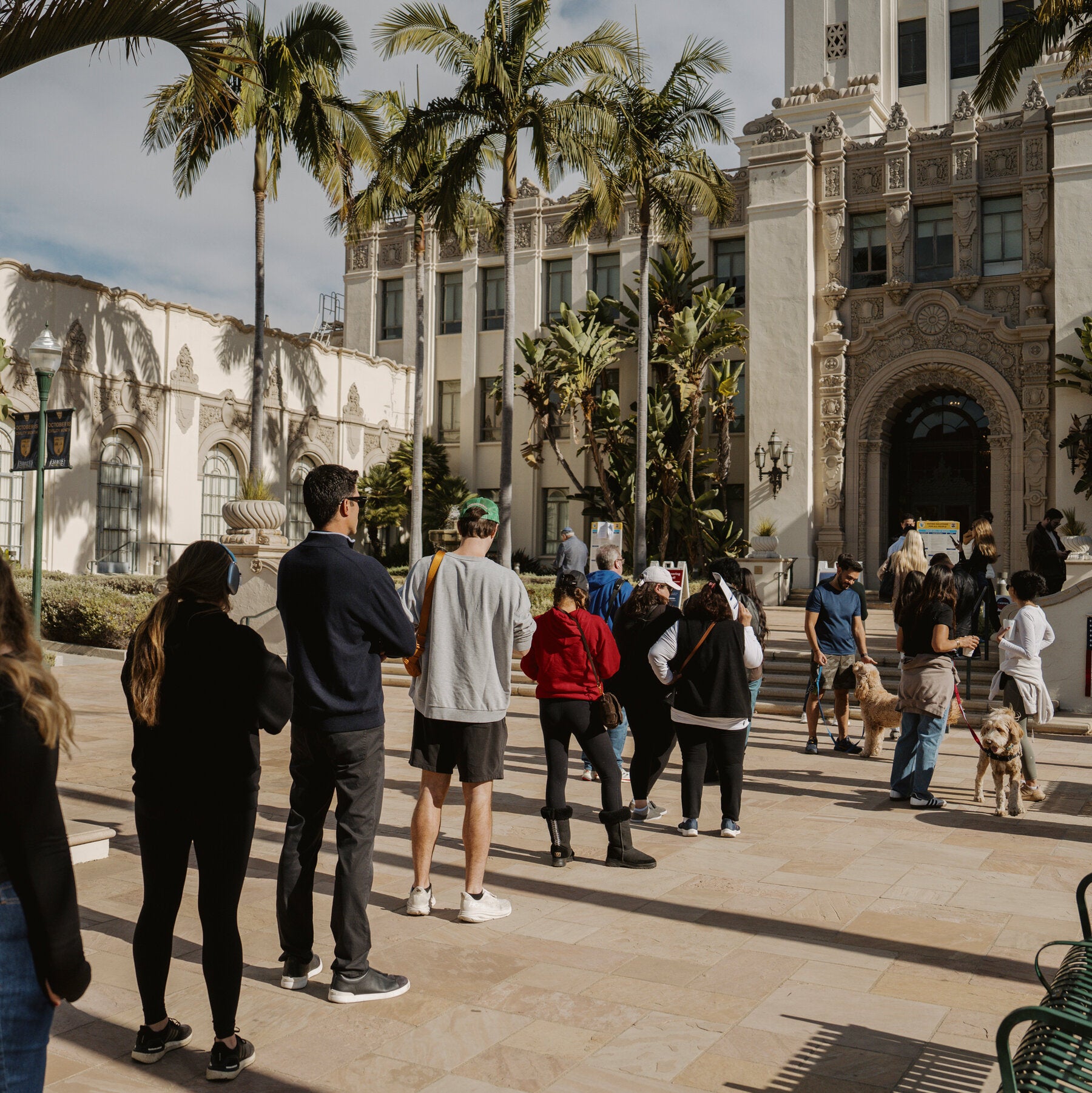 People wait in a line across a sunlit plaza toward an ornate building framed by palm trees, two dogs on leashes near the front of the line.
